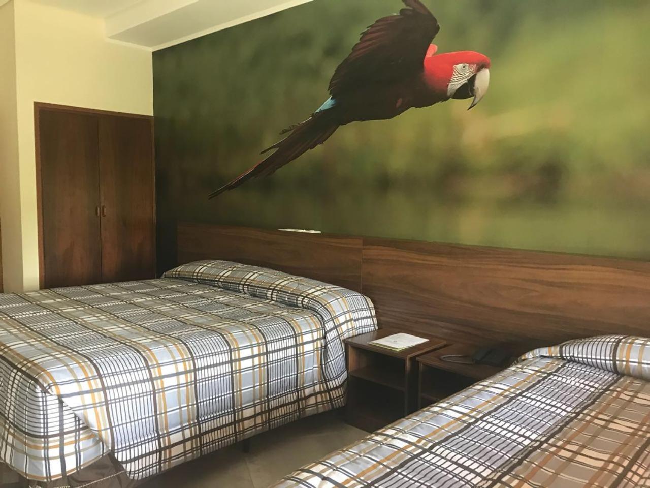 Triple Room,1558902574:JPEG